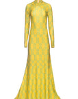 IRIS LYCRA DRESS